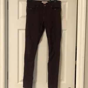 Maroon/Burgundy Jeggings